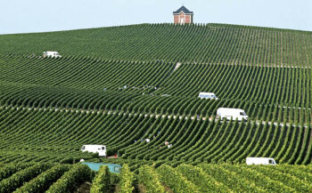 Das Weinbaugebiet Champagne liegt in Frankreich, rund 130 km östlich von Paris, entlang des Flusses Marne.