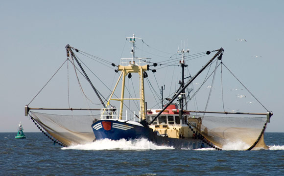 Existenzbedrohung für Ostseefischer