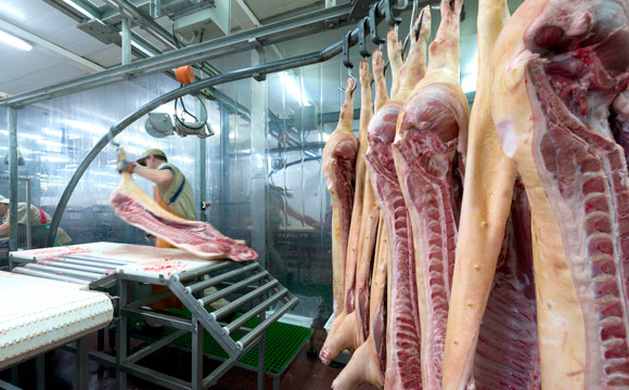 Artikelbild Rückläufige Fleischproduktion