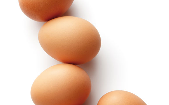 Bio-Eier mit Salmonellen belastet