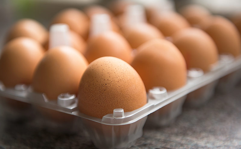Artikelbild Klöckner will Infos auch bei verarbeiteten Eiern