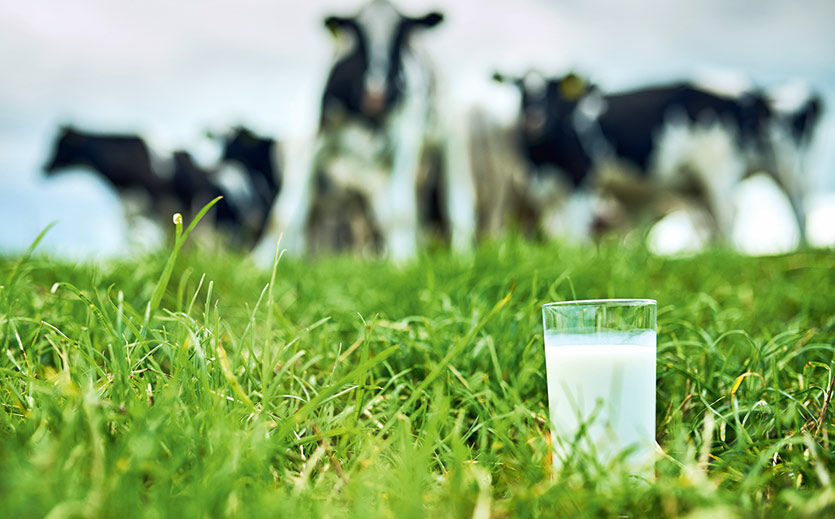 Artikelbild Klimaschonend Milch erzeugen – funktioniert