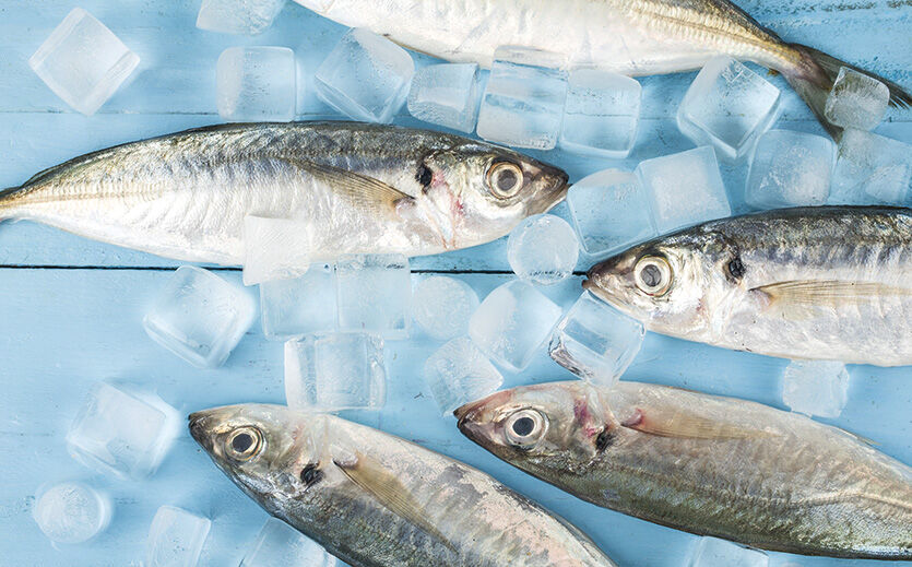 Artikelbild Verbraucher geben mehr für Fisch aus