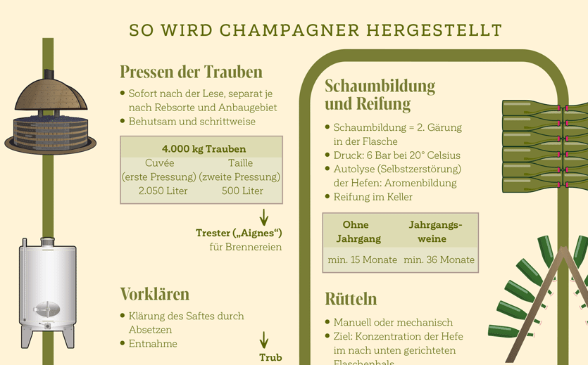 Champagner mit grünem Profil