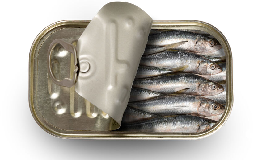 Artikelbild zu Artikel Sardinen werden knapp in deutschen Supermärkten