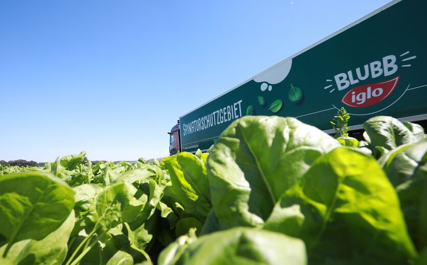 Artikelbild zu Artikel DHL und Iglo verlängern Logistikpartnerschaft um fünf Jahre