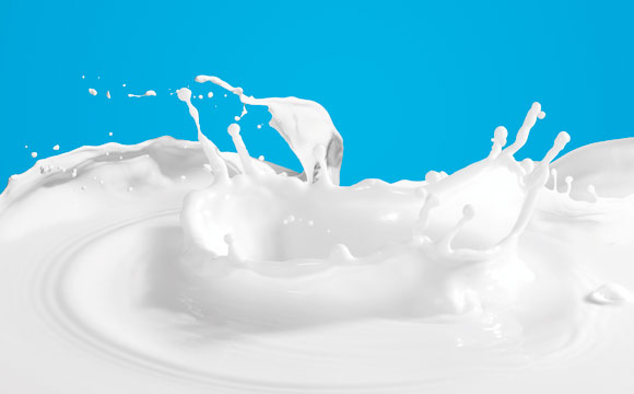 Artikelbild Umsatzbringer Milchgetränke