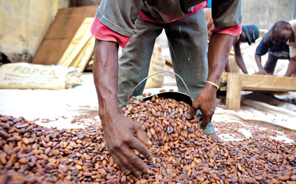 Artikelbild Ziele zu nachhaltigem Kakao früher erfüllt