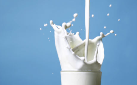 Milch-Allianz