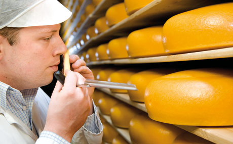 Artikelbild FrieslandCampina Cheese