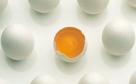 Erneut belastete Eier gefunden