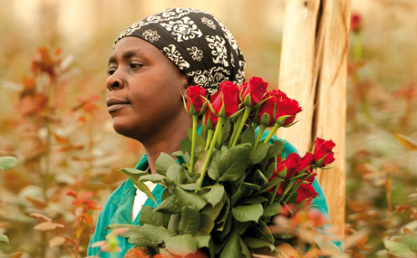 Fairtrade: Blumen immer wichtiger