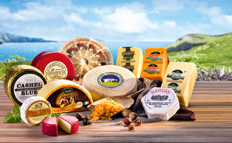 Artikelbild Käse aus Irland - Praktische Tipps für den Handel
