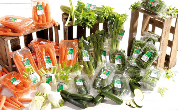 Agromilagro Research: BioRegioOWL