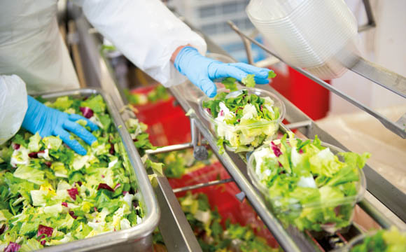 Artikelbild Salat für Fresh-Cut knapp