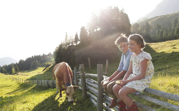 Artikelbild Wo die Kühe friedlich grasen - Länderreport Östereich: Teil 3