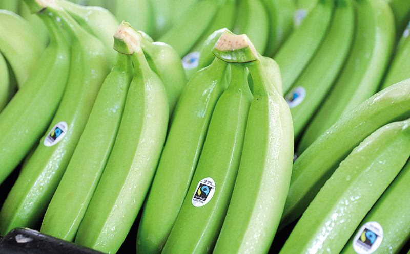 Wieder Bananen ohne Fairtrade-Siegel