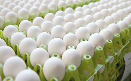 Freigabe: Das hauseigene Labor prüft jede Charge und gibt die Eier in der Regel nach 24 Stunden frei.