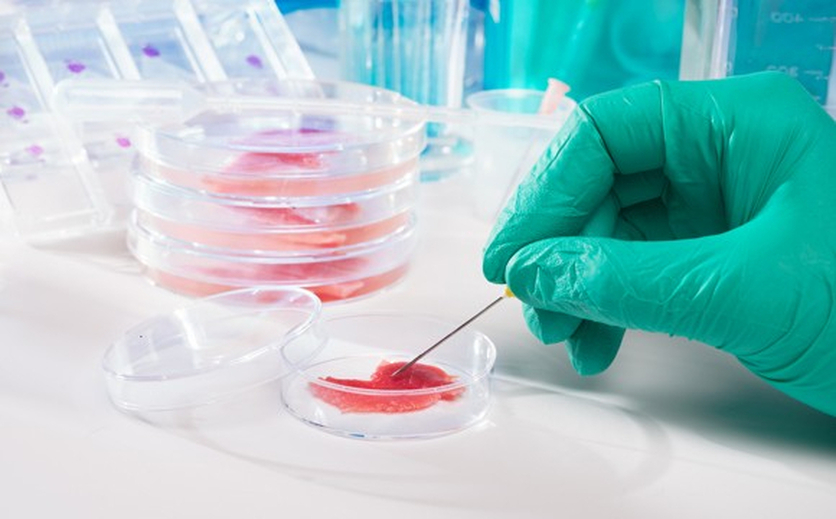 Meat cultured in laboratory conditions