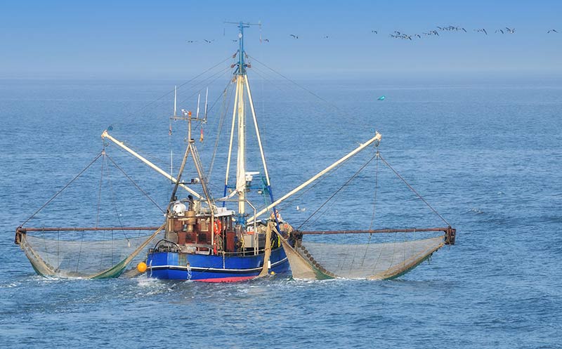 Millionenförderung für Fischereibetriebe