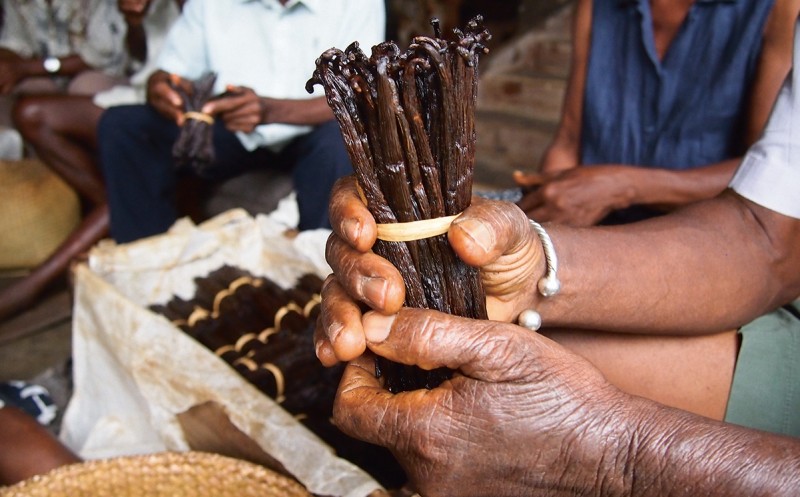 Nachhaltige Vanille aus Madagaskar