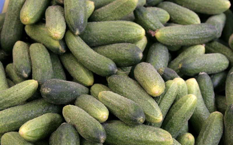 A big pile of fresh Spreewald cucumbers at a farmer's market in eastern Germany.