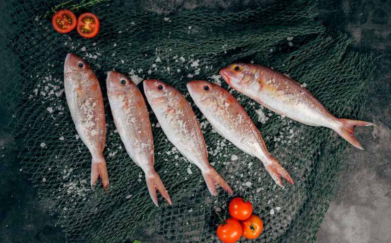 Artikelbild Bewussterer Fischkonsum