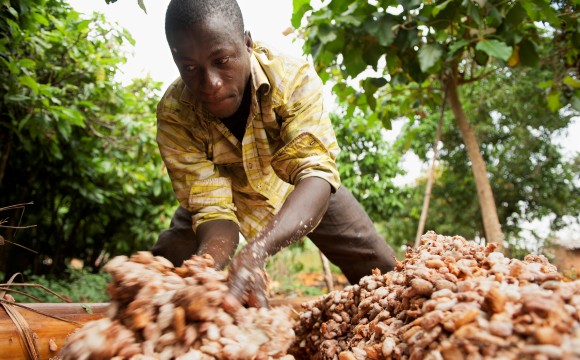 Stellt schrittweise auf Fairtrade-Kakao um