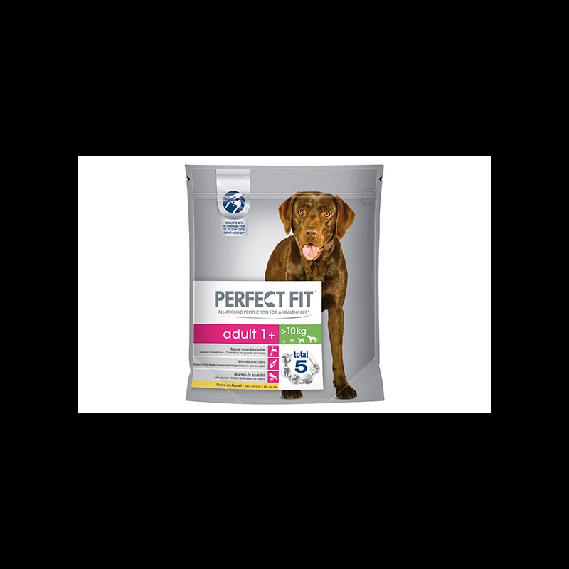 hundefutter sensible hunde Lamm Hundefutter Monoprotein