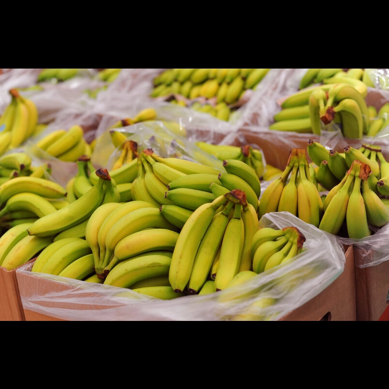 Nachhaltigkeit - Aldi Sd will mehr ber Bananenlieferkette informieren   Lebensmittelpraxis.de