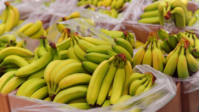 Netto Marken-Discount - Nachhaltigere Bananen zum Einstiegspreis   Lebensmittelpraxis.de