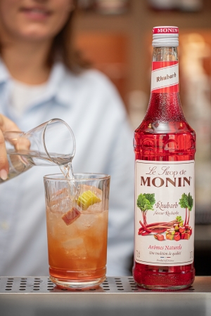 Le Sirop de MONIN Rhabarber