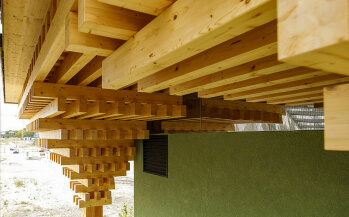 Die besondere Holzkonstruktion speichert rund 700 Tonnen CO2.