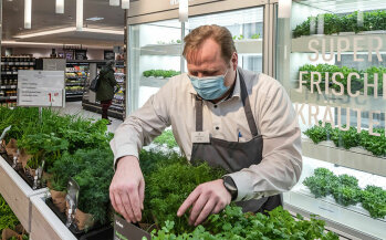 Oliver Günay, Einzelhandelskaufmann, an seinem Lieblingsplatz: Er betreut die frischen Kräuter, die direkt im Markt wachsen.