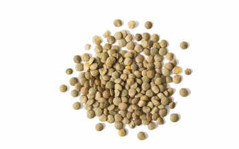 Tellerlinsen: scheibenförmige Samen, die nach der Ernte gelbbraun, braun bis olivgrün sind. Herzhaftes Aroma, top für Suppen, Eintöpfe und Salate.