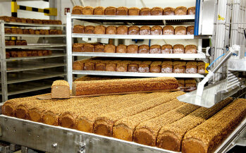 Im XXL-Format: Die Brote werden nebeneinander in langen Stangen gebacken.