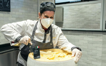 Harter Job am Hartkäse: In der Käseabteilung werden bis zu 370 Sorten verkauft.