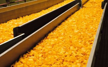 Auf einem Fließband gelangen die Chips in eine
Durchlauf-Fritteuse – die Chips werden kross.