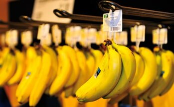 AM HAKEN: Bananen aus fairem Anbau