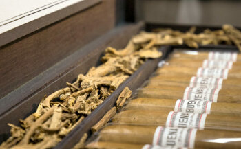 Genießer werden im gut sortierten Zigarrenschrank fündig.