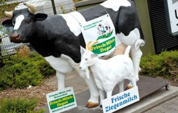 Frisch Die Milch von Kuh und Ziege als Kundenbindungsinstrument.