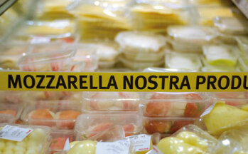 Eigene Produktion: Mozzarella gibt es in x Varianten.