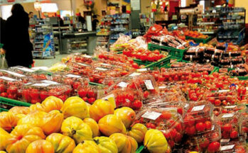 Das Tomaten-Paradies: Mehr als 20 Sorten Tomaten gibt es hier permanent zu kaufen.