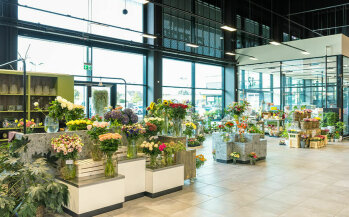 Ein Blick in die Mall der Vorkassenzone: Untervermietet ist der Stand von Blumen Wolfram, der Bäckerei Büsch …