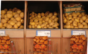 GUT SORTIERT und der Ware angemessen dunkel gelagert, findet sich permanent ein halbes Dutzend Sorten Kartoffeln.