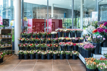 Freundlicher Eingangsbereich: gebundene Sträuße oder ein Bund Tulpen? Rewe Heinrich präsentiert beides am Eingang des Marktes. 