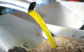 Gepresst: Natives Olivenöl wird kalt gepresst.