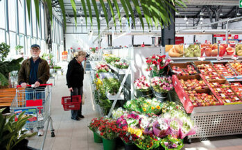 Farbenfroh: Schnittblumen und Orchideen werden gern gekauft.