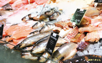 FischMarkt: Die Fischtheke wird jeden Tag mit fangfrischer Ware beliefert.
