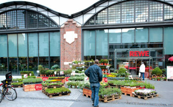 Mit einer großen Auswahl an Blumen und Pflanzen punktet der Rewe-Markt in Frankfurt-Bornheim.